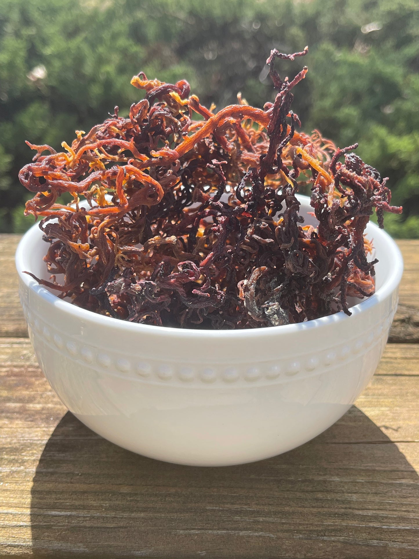 St. Lucia Sun Dried Purple Sea Moss
