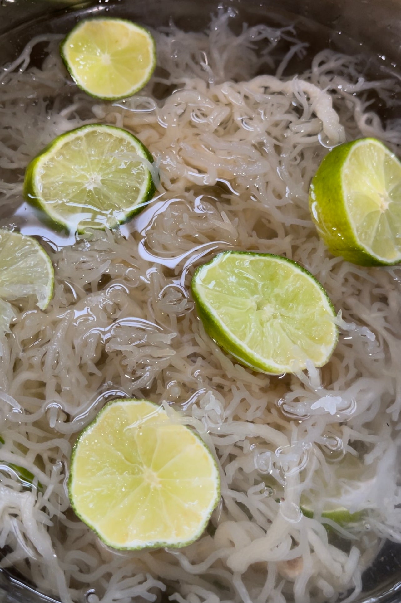 WildCrafted Sea Moss - Queen Bey Health