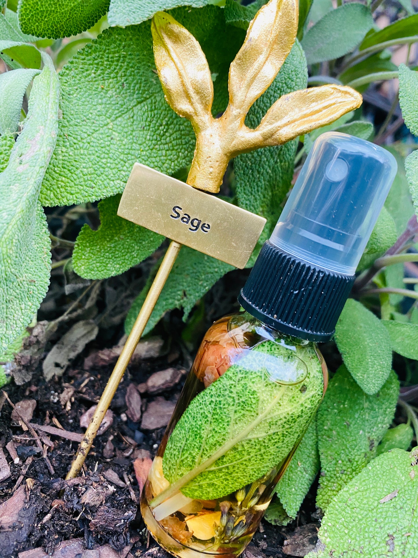 Aura Cleansing Sage Spray - Queen Bey Health