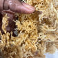 WildCrafted Sea Moss - Queen Bey Health 