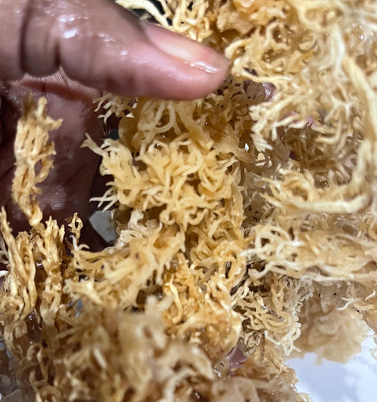 WildCrafted Sea Moss - Queen Bey Health 