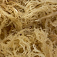 WildCrafted Sea Moss - Queen Bey Health 